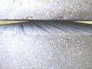 J1071◆伸和石臼工房◆石臼製粉機 750 3相200V